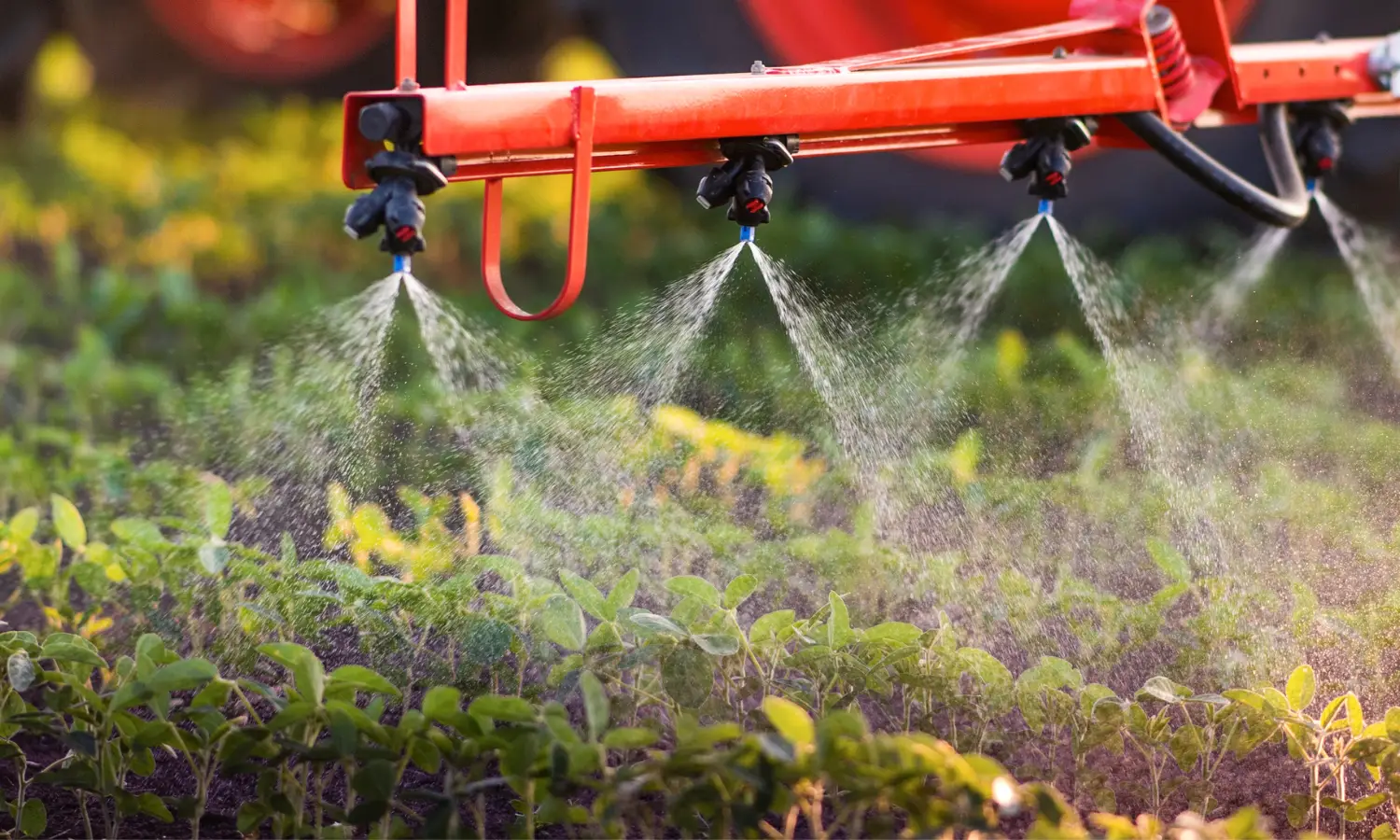 Agricuture Sector