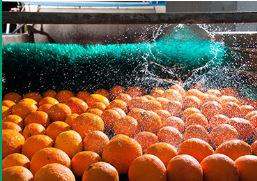 Nozzles in the Food, Beverage, Cleaning, and Washing Industries